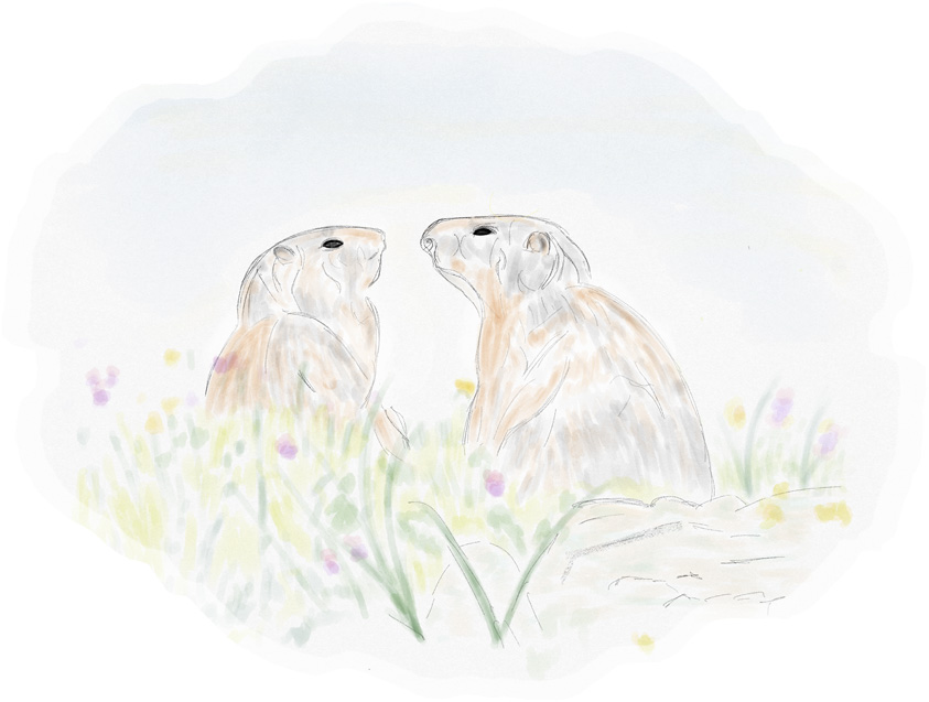 faune